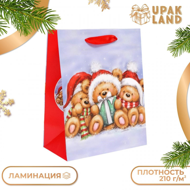 Новый год. Пакет подарочный, ламинированный,  Медвежата ,18 х 23 х 10 см. 