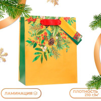Новый год. Пакет подарочный  Новогодний букет , люкс, 18 х 22,3 х 10 см.