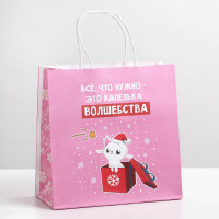 Пакет подарочный новогодний «Капелька волшебства», 22 х 22 х 11 см, Новый год