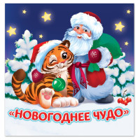 Новый год! Книжка детская «Новогоднее чудо», 12 стр.