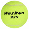 Набор мячей для большого тенниса WERKON 929 в тубе, 3 шт.