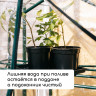 Набор для рассады: 8 стаканов (520 мл.) и поддон (40х30 см)