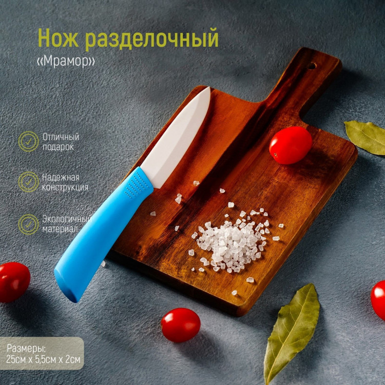 Нож керамический Доляна «Симпл», лезвие 10,5 см, ручка soft touch, цвет синий 