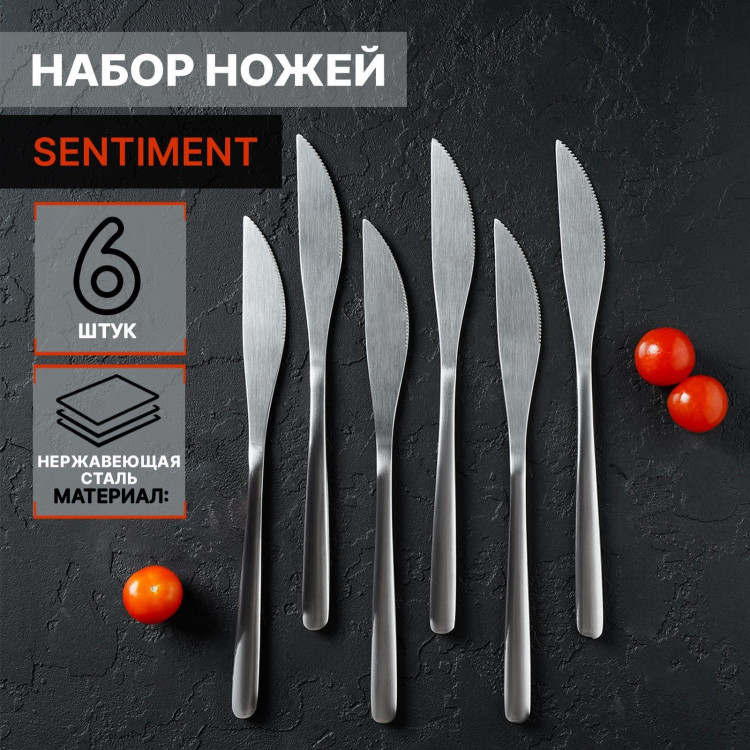 Ножи столовые из нержавеющей стали Доляна Sentiment, длина 23 см, 6 шт, цвет серебряный 