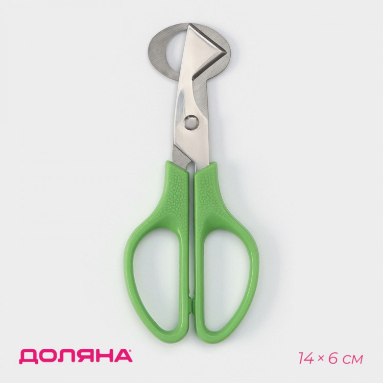 Ножницы для перепелиных яиц Доляна, 14×6 см, цвет зелёный 