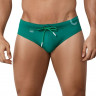 Зеленые принтованные плавки Malibu Swimsuit Brief