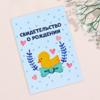 Папка под свидетельство о рождении  Утёнок  голубой бант, А5