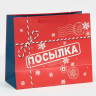 Пакет подарочный новогодний ламинированный «Посылка», ML 27 х 23 х 11,5 см, Новый год