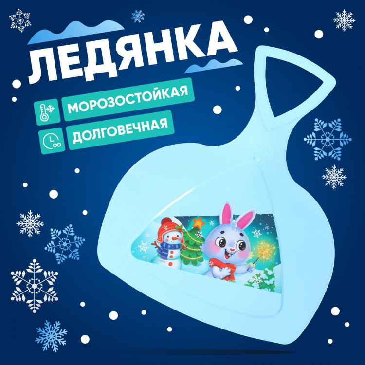 Ледянка «Новогодний заяц» 