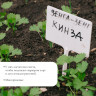Садовые бирочки для маркировки - 20 шт.