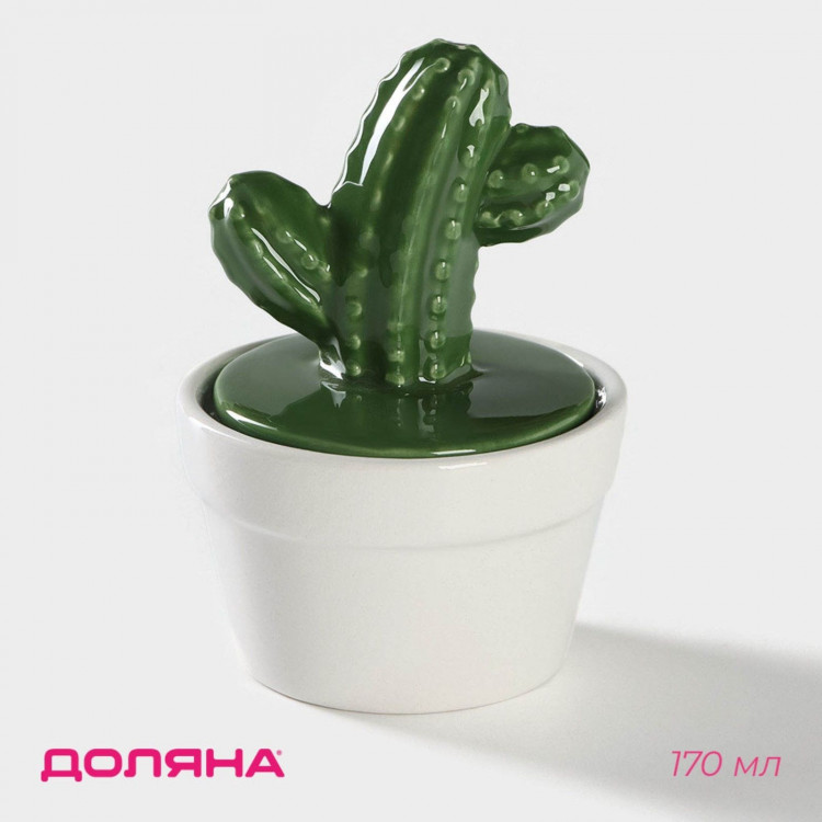 Оригинальная керамическая банка для специй с крышкой «Кактус» (170 мл.) 