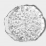 Блюдо для подачи стеклянное «Рифальтаро», d=14,5 см, 14,5×1,7 см