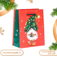 Новый год. Пакет подарочный  Новогодний домовёнок , 11,5 х 14,5 х 6,5 см.