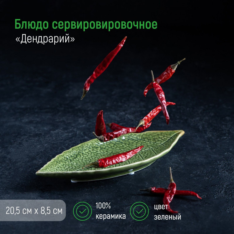 Блюдо керамическое сервировочное «Дендрарий», 20,5×8,5×1,5 см, цвет зелёный 