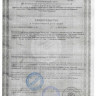 БАД для мужчин  Вигор Али+  - 10 капсул (0,3 гр.)