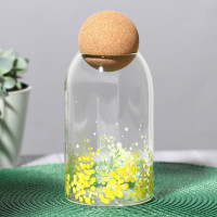 Банка для хранения с пробкой «Нежная мимоза» (800 мл.)