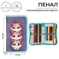 Пенал 1 секция, 115 х 205 мм, с наполнением 16 предметов, Calligrata  Котики  ламинированный картон, 30П26/set