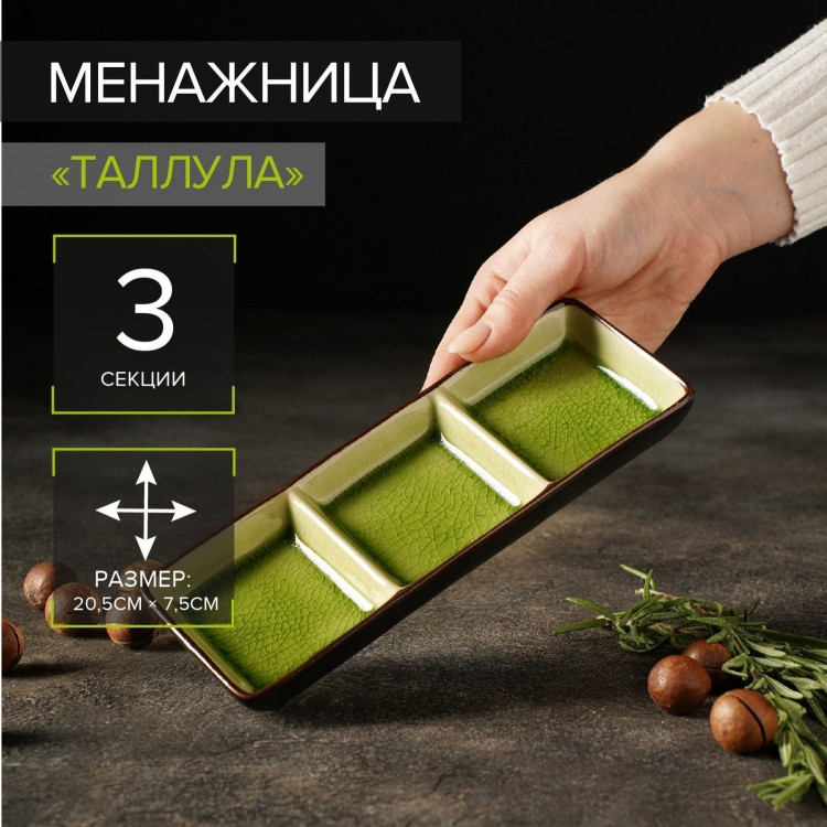 Менажница керамическая 3 секции «Таллула», 20,5×7,5×2,5 см 