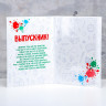 Папка с двумя файлами А4  Диплом выпускника  кляксы и канцелярия