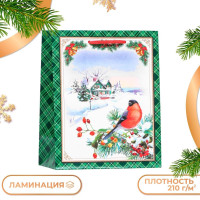 Новый год. Пакет подарочный  Снегирь на ветке  , 18 х 22,3 х 10 см.