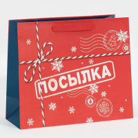 Пакет подарочный новогодний ламинированный «Посылка для тебя», MS 18 х 23 х 10 см, Новый год