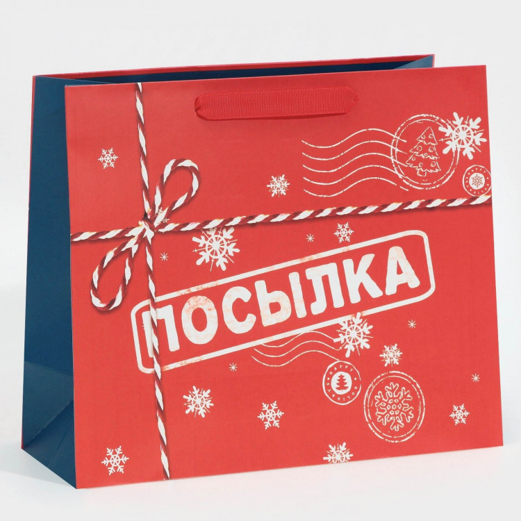 Пакет подарочный новогодний ламинированный «Посылка для тебя», MS 18 х 23 х 10 см, Новый год 