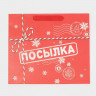 Пакет подарочный новогодний ламинированный «Посылка для тебя», MS 18 х 23 х 10 см, Новый год