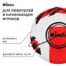 Футбольный мяч MINSA, машинная сшивка, 12 панелей, р. 5, TPE-
