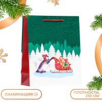Новый год. Пакет подарочный  Нарядная зима  , 26 х 32 х 12 см.