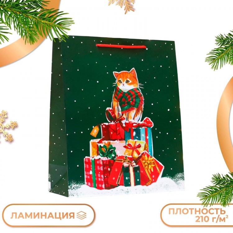 Новый год. Пакет подарочный  Салют  , 26 х 32 х 12 см. 