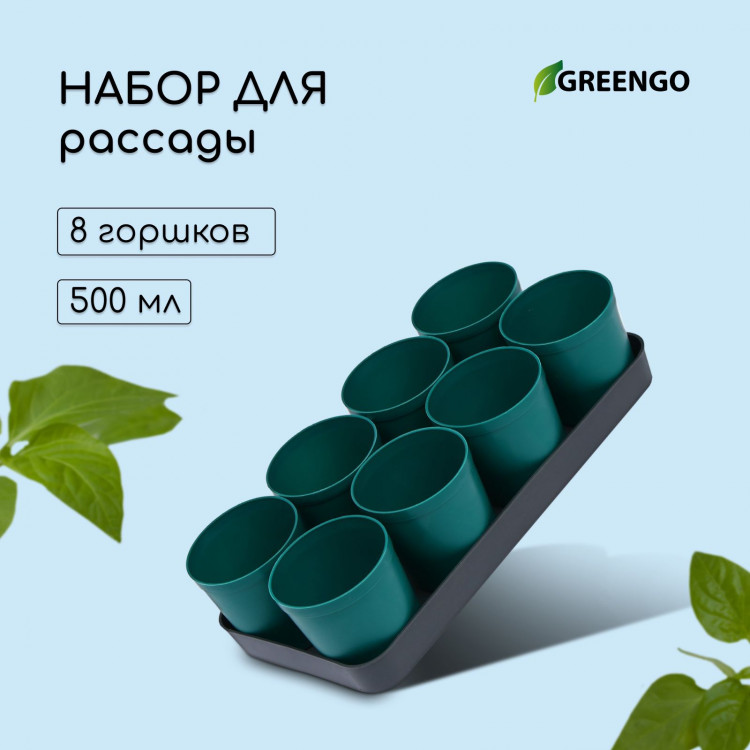 Набор для рассады: 8 стаканов (500 мл.) и поддон (40×20 см) 