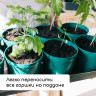 Набор для рассады: 8 стаканов (500 мл.) и поддон (40×20 см)