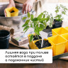 Набор для рассады: 18 стаканов (200 мл.) и поддон (36,5х17 см)