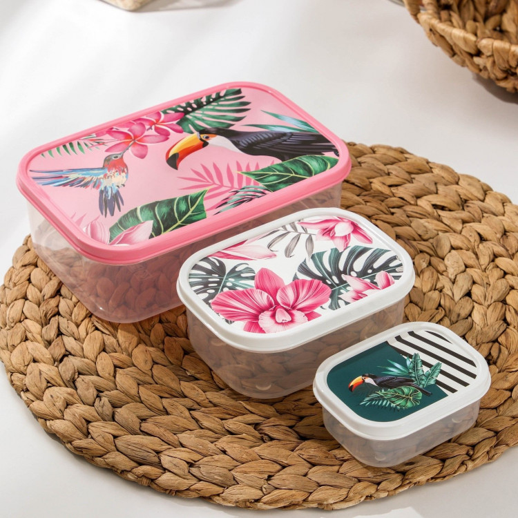 Набор из 3 прямоугольных пищевых контейнеров «Тропики» 