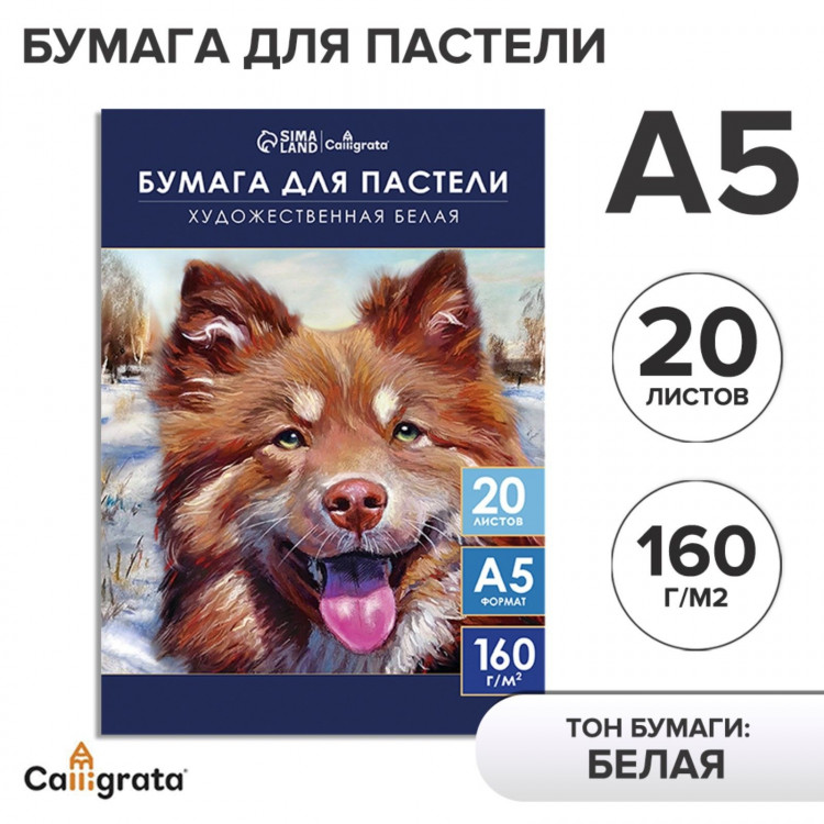 Бумага для пастели А5, 20 листов  Собака , блок 160 г/м2, в папке 