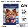 Бумага для пастели А5, 20 листов  Собака , блок 160 г/м2, в папке