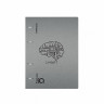 Тетрадь на кольцах А5 100 листов клетка ErichKrause IQ FineLine Life Style пластиковая обложка серебряная, блок офсет 80 г/м², белизна 100% микс