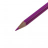 Карандаши 36 цветов Koh-I-Noor 3655,  Крот , картонная коробка
