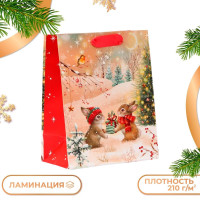 Пакет подарочный  Зайки , 18 х 22,3 х 10 см