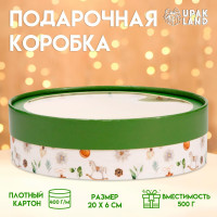 Новый год. Коробка подарочная новогодняя для макарун тубус с окном  Ёлочные игрушки , 20 х 6 см.