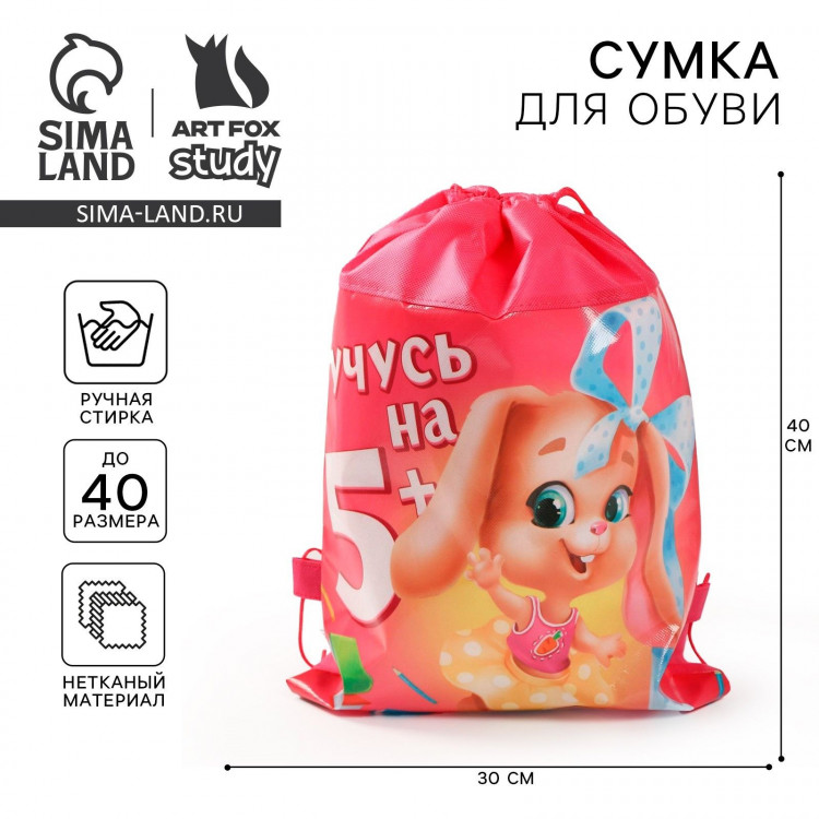 Мешок для обуви «Учусь на 5+»  30 х 40 см 