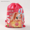 Мешок для обуви «Учусь на 5+»  30 х 40 см