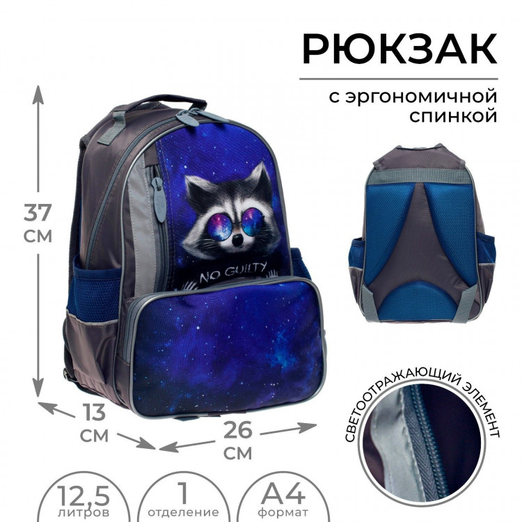 Рюкзак школьный, 37 х 26 х 13 см, эргономичная спинка, Calligrata ОРТ  Енотик  