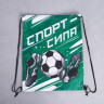Мешок для обуви «Спорт - сила»  полиэстер, размер 30 х 40 см