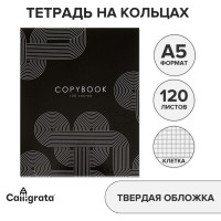 Тетрадь на кольцах A5 120 листов в клетку Calligrata  Графика , обложка 7БЦ, блок офсет