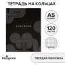Тетрадь на кольцах A5 120 листов в клетку Calligrata  Графика , обложка 7БЦ, блок офсет