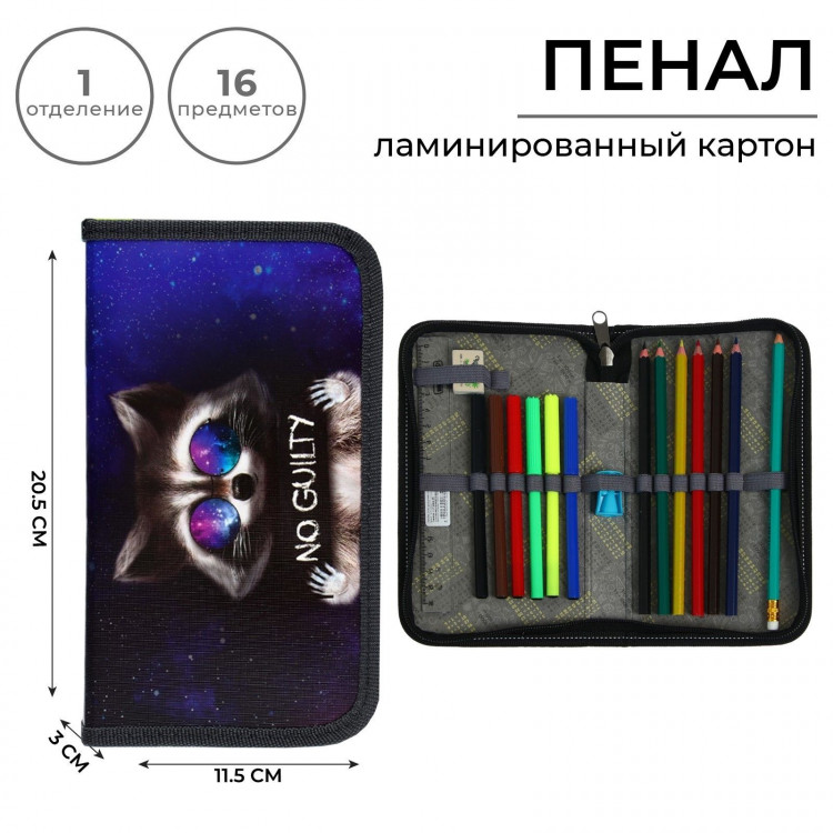 Пенал 1 секция, 115 х 205 мм, с наполнением 16 предметов, Calligrata  Енот  ламинированный картон, 30П26/set 