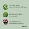 Комплект из двух зеленых кустодержателей