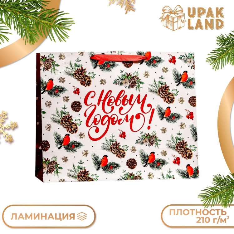Новый год. Пакет ламинированный горизонтальный  Снегири ,49 х 40 х 19 см. 