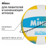 Волейбольный мяч MINSA, машинная сшивка, 18 панелей, р. 5, PVC!_